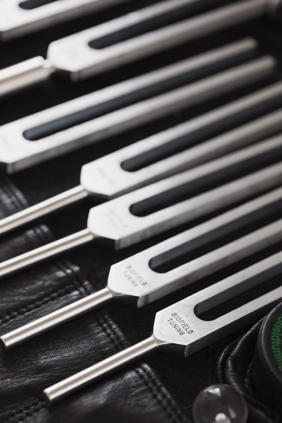 Rows of tuning forks fanned diagonally across a black leather roll